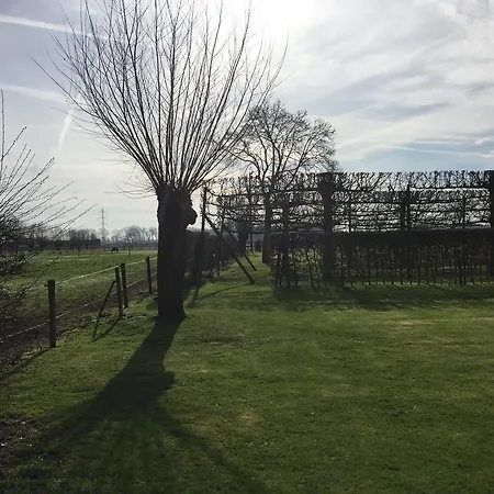 ホテル Wilgenhof