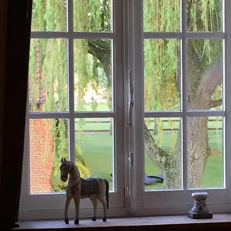 Wilgenhof 布鲁日